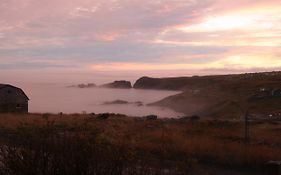 Grates Cove Studios